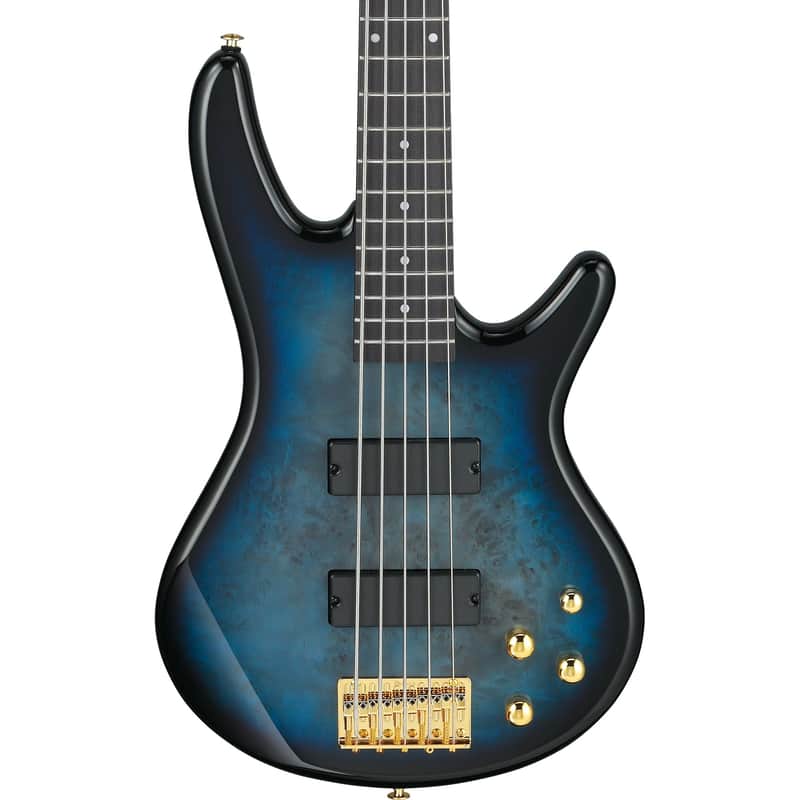 Ibanez GSR205PC Gio SR 5-String Electric Bass - Transparent Marine Burst image 1