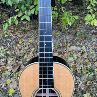 Santa Cruz PJ - Rosewood Back & Sides imagen 18