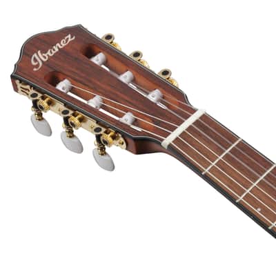 Ibanez FRH10N-RGF Rose Gold Metallic Flat + Nylon String Guitar + NEW image 6