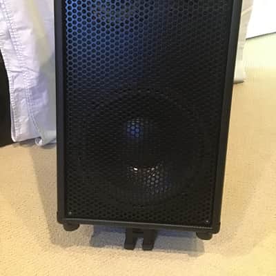 Low Down Sound 12” 3-way with Eminence long throw woofer 2020 Black carbon fiber image 1