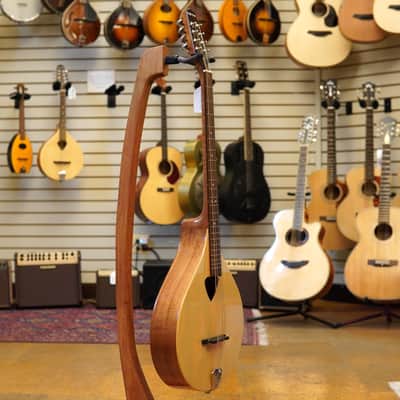 Gold Tone BZ-500 Irish Bouzouki Mandolin w/Hard Case image 5