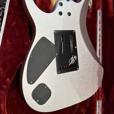 Ibanez RG2570E-VSL Prestige 2005 - 2007 - Vital Silver image 4
