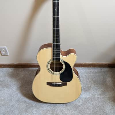 Zager EZ play acoustic guitar image 1