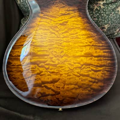 PRS McCarty 594 Hollowbody II 2025 - McCarty Glow image 3