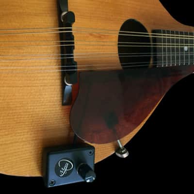 "THE GRIP" MANDOLIN PICKUP with FLEXIBLE MICRO-GOOSE NECK by Myers Pickups by Myers Pickups image 1