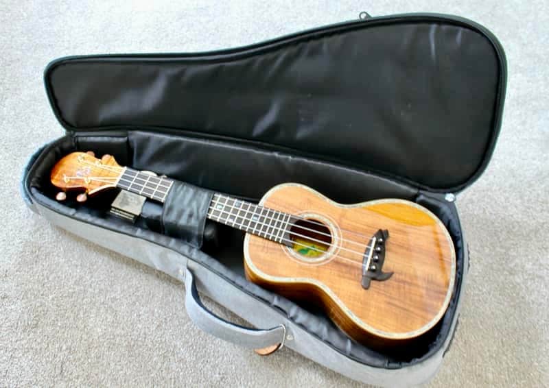 Big Island Ukulele Co Solid Golden Koa Concert Ukulele KX-CTG  W/ Carrying Case image 1
