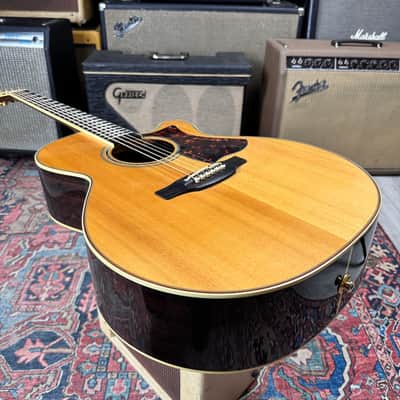 Takamine DMP050S OM Style w/Case and Candy 2012 image 21