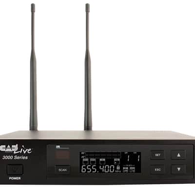 CAD - WX3010 - Wireless Microphone System with Earworn, E29 Lav & WXGTR Cable image 2