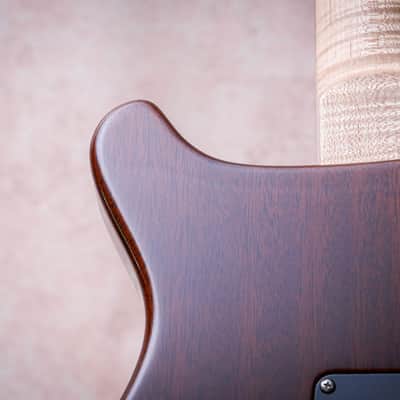 PRS USA Paul Reed Smith Wood Library Special 22 Semi Hollow 10-Top "Copperhead Burst" (2024) image 18