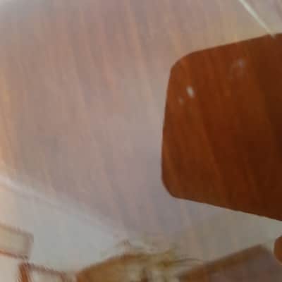 Alvarez Artist 5003 Nat Gloss image 11