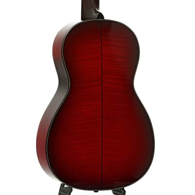 Santa Cruz PJ 2003 NAMM Model Parlor Guitar (2003) image 11