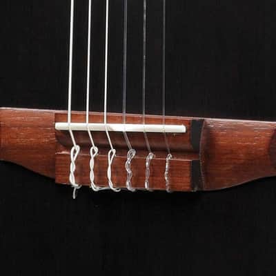 Ibanez TOD10N TKF Transparent Black Flat image 7