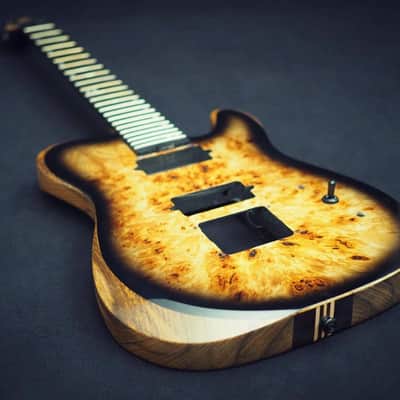 Halo Guitars SALVUS 7-string (27") Bare Knuckle Aftermath, Evertune, Neck Through, Burl Top 🤘🏻 image 2
