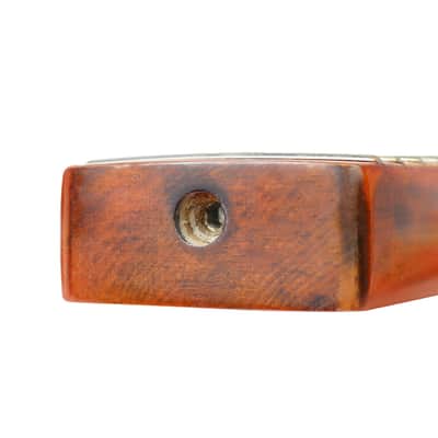 Stained Gloss Guitar Neck for TL Tele, 21 Frets, Canadian Maple with Centerline image 4