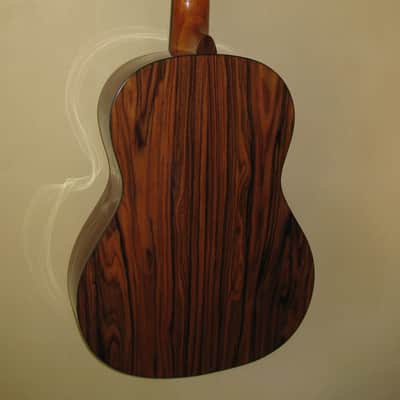 Giannini GWNEW 3 Exotic Series All Solid Wood Classical Guitar w/Hardshell Case image 6