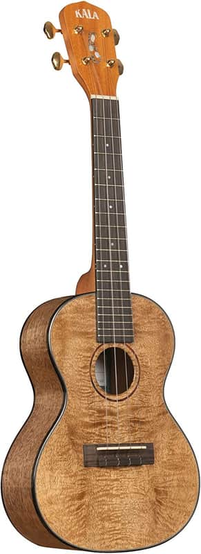 Kala Metropolitan Series, 4-String Ukulele, Concert KA-MNGG-C-W-Bag image 1