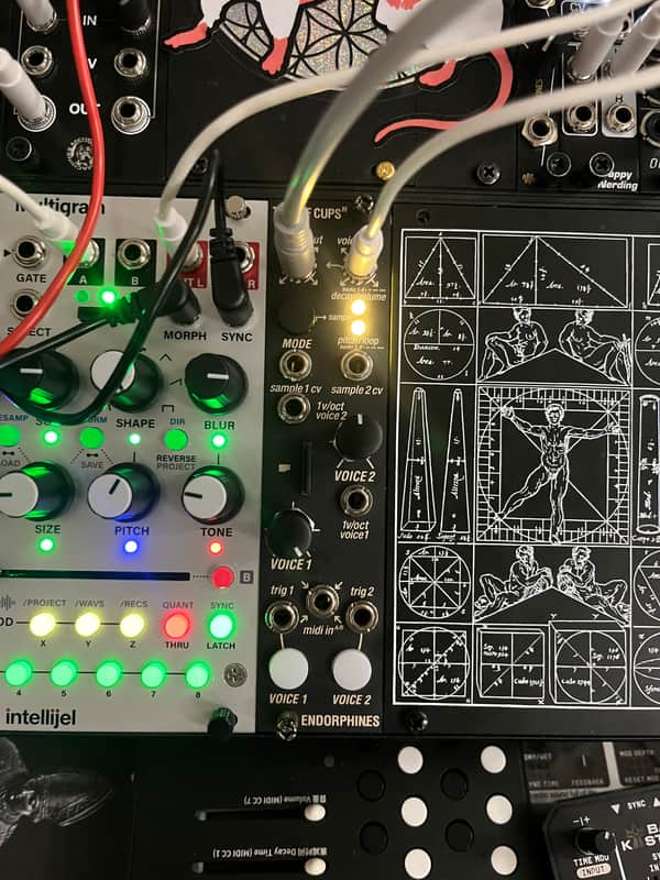 Endorphin.es Two of Cups Eurorack Synth Module 2021 - Present - Black image 1