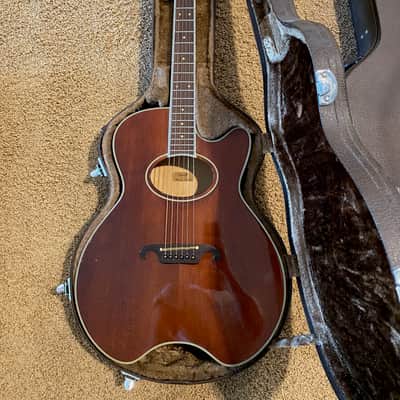 Daion The Year Series '81 Caribou - Brown (BR) - Electric Acoustic Six String image 18