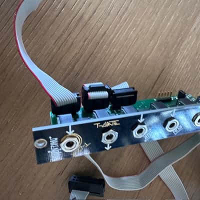 Make Noise Brains Sn# 102 Module black and gold eurorack image 4