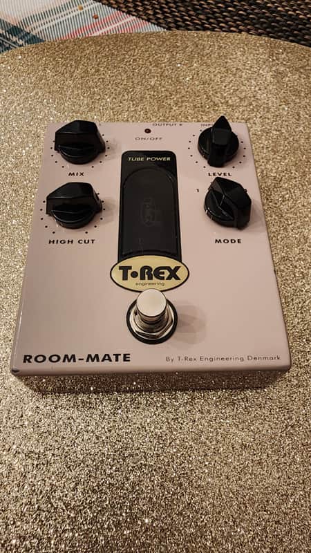 T-Rex Room-Mate