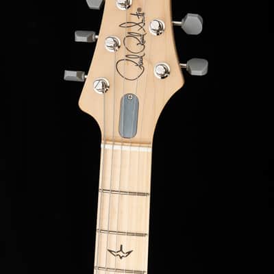 Paul Reed Smith Silver Sky John Mayer Signature Model Polar Blue image 12