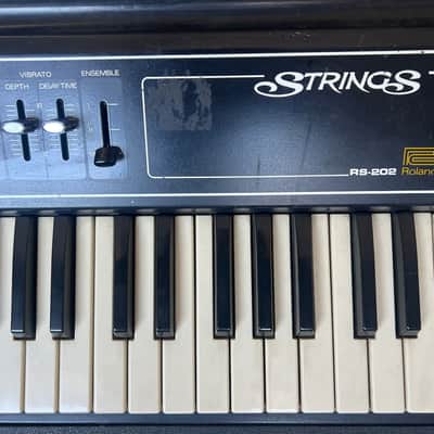 Roland RS-202 61-Key String Synthesizer 1976 - 1979 - Black image 4