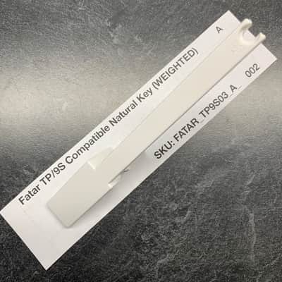 Fatar Replacement Weighted A Key (TP/9S Keybeds) for Sequential Prophet-6, Access Virus Indigo 2/TI Polar, Moog Grandmother/Matriarch, Oberheim OB-X8/OB-6/TVS Pro, Waldorf Blofeld/Microwave XTk, Ensoniq Fizmo, & more