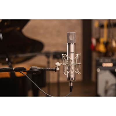 Warm Audio WA-CX12 Professional Large-diaphragm Tube Microphone - (B-Stock) image 4