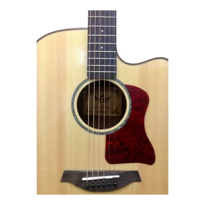 TKA TKA220CEQNT Solid Spruce Top Acoustic Guitar, Fishman EQ, Natural + Free Gig Bag image 9