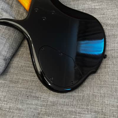 F Bass BN5, brand new with waterproof ATA road case image 5