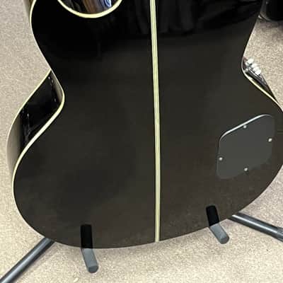 Washburn AB-20 image 3