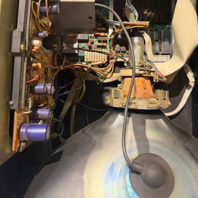 Immagine PPG WaveTerm A - 7