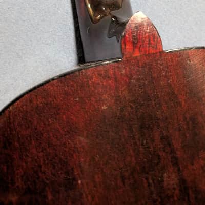 Austin classical acoustic guitar AU334N image 2