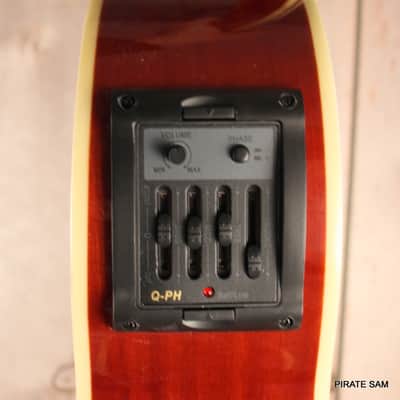 Washburn AB5K Custom Art 4-String Acoustic Bass "Spikes of the South West " w/gig bag image 8