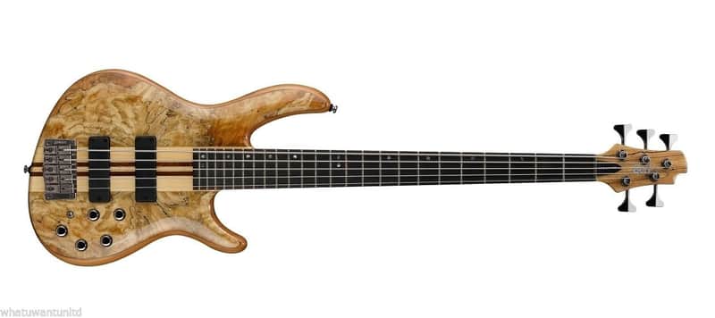 Cort A5 Custom SP-NT Set Neck 5 String Bass Guitar Bartolini Pickups MK1 Preamp image 1
