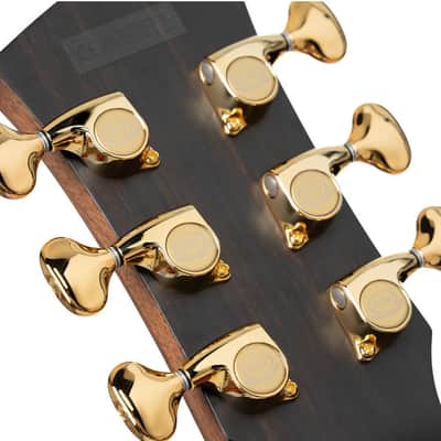 CORT MODERNBURGUNDY Masterpiece Series Dual Side Soundhole Acoustic/Electric Guitar image 5