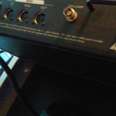Moog MiniMoog Voyager Aluminum Edition 2015 Aluminum SERIAL #13! image 15