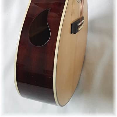 Dillion DF-900 ES Folk Size Acoustic Guitar Natural w/Case image 5