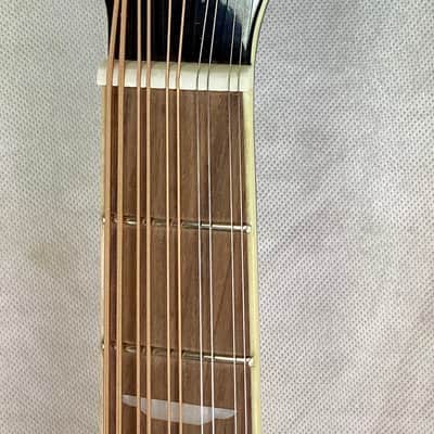 10 string mandocello, cittern prototype conversion of a dreadnaught guitar image 2