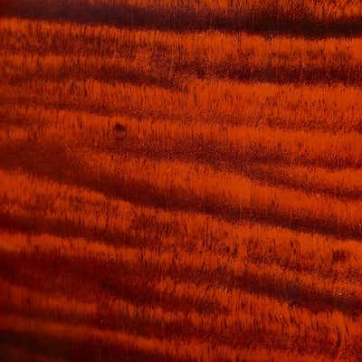 PRS SE Hollowbody I Piezo Double Cut Electric Guitar - Orange Tiger Smokeburst image 15