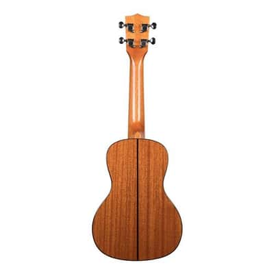 Kala Gloss Solid Spruce Mahogany Concert Ukulele image 2