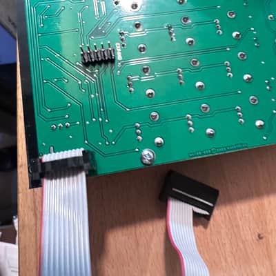 First run Make Noise Pressure Points Eurorack Black & Gold image 11