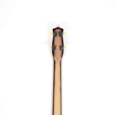 Danelectro Bass Owned by Brian Setzer image 6