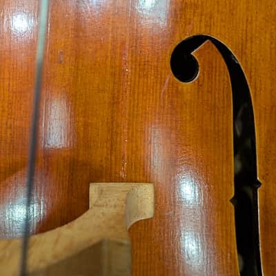 D Z Strad Cello - Model 600 - Cello Outfit (New - Shipping Crack) (4/4 Size) image 4