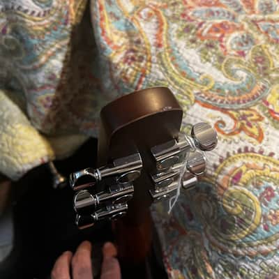 Seagull Entourage Autumn Burst CW QIT Acoustic Electric Guitar image 16