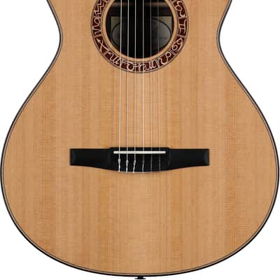 Taylor Jason Mraz Signature Model Grand Concert Classical Acoustic-Electric Guitar (with Case) image 2