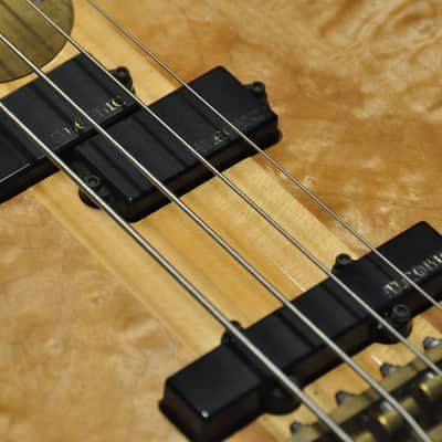 Alembic Persuader Bass Quilted Maple image 5