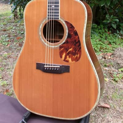 1981 Yairi D 35 YW-500P - Natural+Hard Case image 4