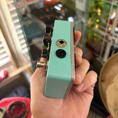 Durham Electronics Crazy Horse 2020’s - Turquoise Bild 2