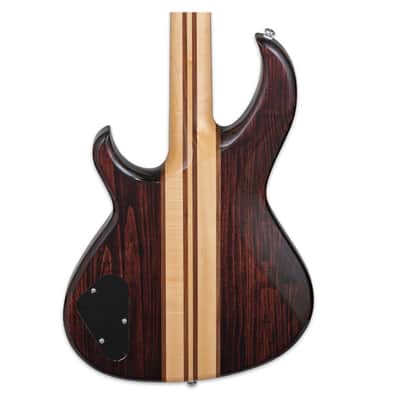 Aria Pro II SB-700 4-String Bass Guitar - Walnut - Open Box image 7